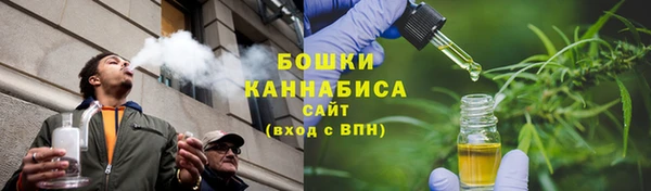 ПСИЛОЦИБИНОВЫЕ ГРИБЫ Алексин