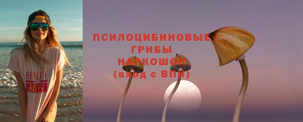 МДПВ Алзамай