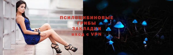 ПСИЛОЦИБИНОВЫЕ ГРИБЫ Алексин